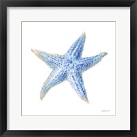 Undersea Starfish Fine Art Print