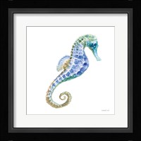 Undersea Seahorse Framed Print