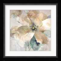 Sensation II Framed Print