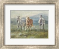 Rangeland Horses Fine Art Print