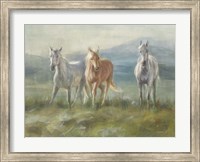 Rangeland Horses Fine Art Print