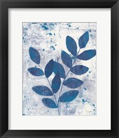 Leaves of Blue II Framed Print