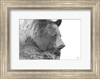 Mountain Bear Fine Art Print