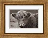 Highland Cow Do Neutral Fine Art Print