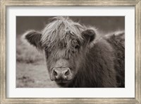 Highland Cow Do Neutral Fine Art Print