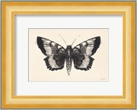 Moth V Fine Art Print