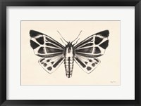 Moth III Fine Art Print