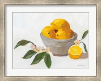 Lemons in Grey Bowl Fine Art Print