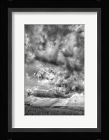 Rolling Pasture Rays Fine Art Print