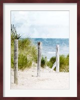 Pathway To The Beach Fine Art Print