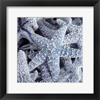 Starfish Beach 2 V3 Fine Art Print