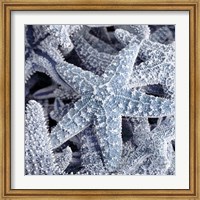 Starfish Beach 2 V3 Fine Art Print