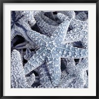 Starfish Beach 2 V3 Fine Art Print