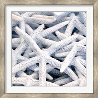 Starfish Beach 3 V3 Fine Art Print