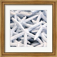 Starfish Beach 3 V3 Fine Art Print