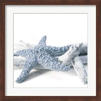 Starfish Beach 4 V3 Fine Art Print