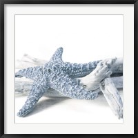 Starfish Beach 4 V3 Fine Art Print