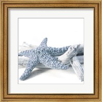 Starfish Beach 4 V3 Fine Art Print