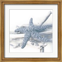 Starfish Beach 5 V3 Fine Art Print