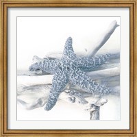 Starfish Beach 5 V3 Fine Art Print