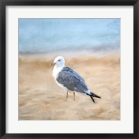 Seagull Fine Art Print