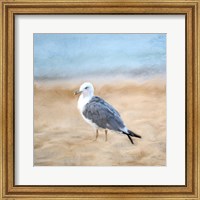 Seagull Fine Art Print