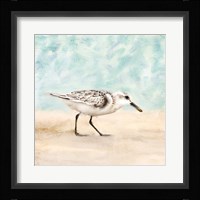 Sandpiper Walk 1 Framed Print