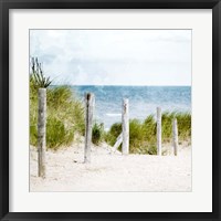 Pathway To The Beach Fine Art Print
