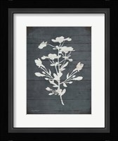 Rustic Hearth III Framed Print