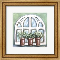 Window Planter II Fine Art Print