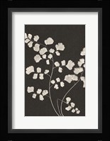 Vintage Ferns III Fine Art Print