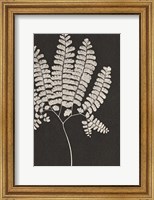 Vintage Ferns IV Fine Art Print