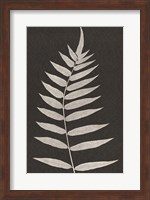 Vintage Ferns VIII Fine Art Print