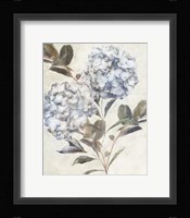 Twilight Hydrangea Fine Art Print