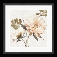 Delicate Fine Art Print
