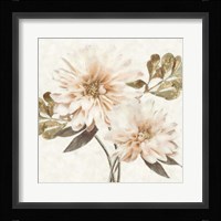Delicate II Fine Art Print