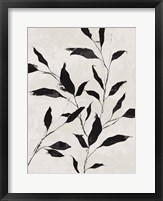 Noir Botanical Fine Art Print