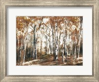 Rusted Hearth Birch Trees Fine Art Print