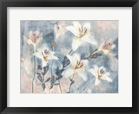 Whisper Blooms II Framed Print