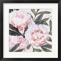 Bountiful Peonies III Framed Print