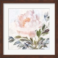 Peony Melody Fine Art Print