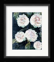 Peony Melody III Fine Art Print