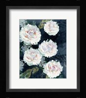 Peony Melody IV Fine Art Print