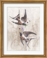 Playful Swallows Fine Art Print