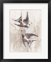 Playful Swallows Framed Print