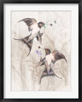 Playful Swallows II Fine Art Print