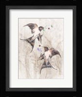 Playful Swallows II Framed Print