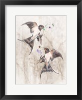 Playful Swallows II Fine Art Print