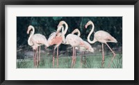 Peach Flamingo III Fine Art Print