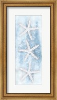 Starfish Panel Fine Art Print
